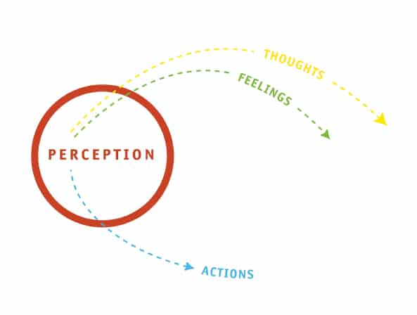 The O'Meara Process | The Power of Perception The O'Meara Process | The Power of Perception